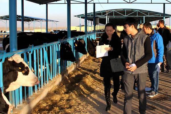 ��(d��ng)����w�|(zh��)Ѻ